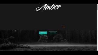 Amber - Luxury Business WordPress Theme - Theme setup