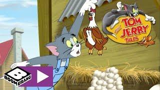 Tom and Jerry Tales | Egg War | Boomerang UK