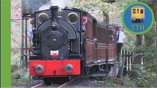 Trên Stêm yn Dolgoch - Steam Train at Dolgoch