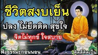 ชีวิตสงบเย็น ปลง สบายใจได้บุญมาก ฟังธรรมะก่อนนอน (410)13