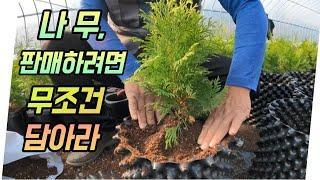 사계절 소득창출의 비밀 (feat.조경의 미래는 이렇게 바뀝니다)