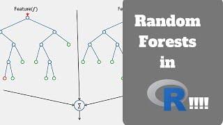 How to Use Random Forest in R