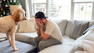 Standard Poodle Puppy Reacts to Dad Crying