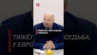 Лукашенко: Тяжёлая у вас судьба, у Европы! #беларусь #лукашенко #выборы #политика #новости