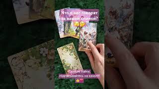 Что о вас говорят за вашей спиной?🫣 #таро #tarot #гадание #таролог #раскладтаро #тароонлайн