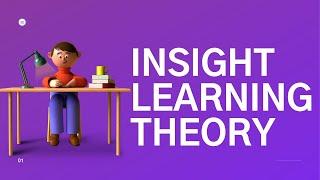 Insight Learning Theory