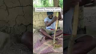 Cinnamon Farmer #youtubeshorts #trending #travel #Tamil #viralvideo #reels #vlog #srilanka #food