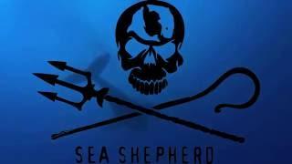 Sea Shepherd