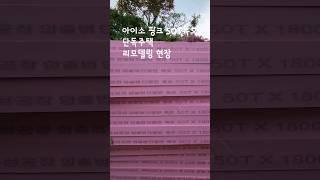 올리모델링 현장에 사용될 단열재 아이소 핑크 50T특호