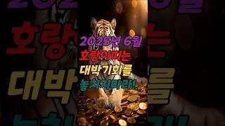 2025년 6월 호랑이띠운세 - 재물복 쏟아지는 호랑이띠 대박의 반전운세 #관상#재물운상승 #대박운세