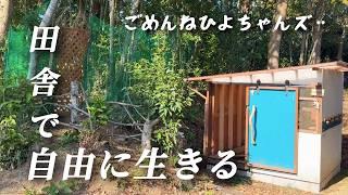 【田舎暮らし】ひよちゃんズが襲われました‥田舎暮らしの現実【移住63】