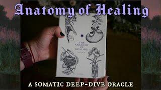 Anatomy of Healing: A Somatic Deep-Dive Oracle • In-Depth Review