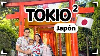 TOKIO QUE HACER Asakusa & Odaiba  Precios, comida  Maid Cafe, TeamLab Planets ► Sin Postal TOKYO