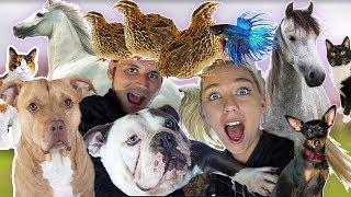 MOVING ALL MY PETS TO OUR NEW HOUSE! WE BOUGHT A HOUSE! | NICOLE SKYES