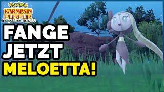 Fange JETZT ein wildes Meloetta im Pokémon Karmesin & Purpur DLC!