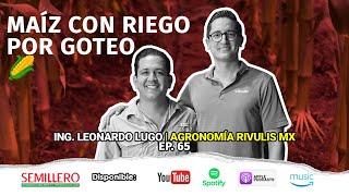 EP. 65 Riego por Goteo: Diseño y Eficiencia en Maíz  | Leonardo Lugo