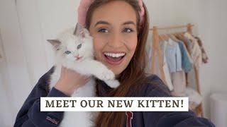 WE GOT A KITTEN | our first week with Dolly