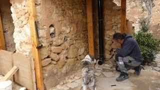 Revealing the full extent of the damage to the stone walls - Finca restoration in Spain