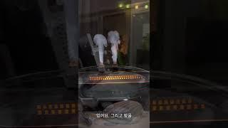 마법 같은 선박형 가습기  | #가습기,#홈가전