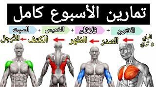 خطة تدريبية لمدة اسبوع كامل لبناء العضلات | تمارين كمال الأجسام