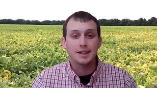 Foliar Fertilizers on Soybeans, Pushing Soybean Productivity in Ohio - 2021 Ag Tech Tuesday