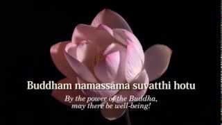 Ratana Sutta - The Jewel Discourse - Animated Subtitles & Translations HD 720p