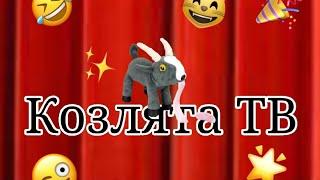 Козлята ТВ 5 серий "у каждого такая школа" и "смешные видео и советы от козла"