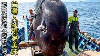 [生物放大鏡] 卡在水面上的魚 | 連天敵都嫌難吃 | 台灣人卻找到獨特吃法