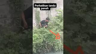 Detik2 pemancing di terkam buaya