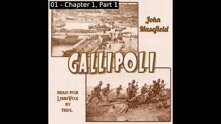 Gallipoli by John Masefield read by Ted Lienhart | Full Audio Book