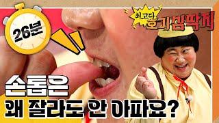 손톱은 왜 잘라도 안 아파요?｜손톱! 왜 잘라야 할까요?｜손톱｜최고다! 호기심 딱지｜[EBS놀이터]