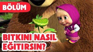 Maşa İle Koca Ayı 🪴 Bitkini nasıl eğitirsin?  (Bölüm 99) Yeni bölüm 2024!