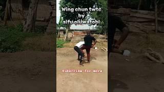 Wing chun twtc