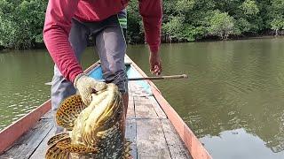 BARU KALI INI TERJADI..!! SAMBARAN IKAN BESAR JENIS INI SELAMA SAYA MANCING DI SUNGAI..!!