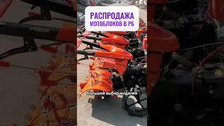 Мотоблоки 19