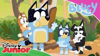 A Wild Adventure  | Bluey  | Disney Junior Arabia