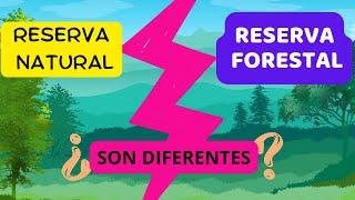 Qué es una RESERVA FORESTAL - DESAPARECERÁN?