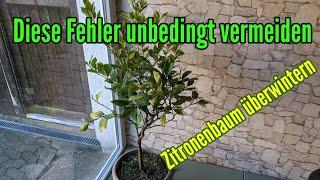 Zitronenbaum überwintern - Diese FEHLER unbedingt vermeiden