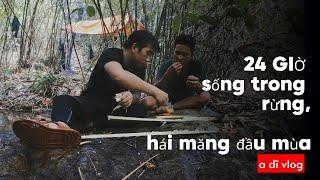 24H SINH TỒN TRONG RỪNG | HÁI MĂNG ĐẦU MÙA |24 HOURS SURVIVING IN THE FOREST #adivlog #sinhton