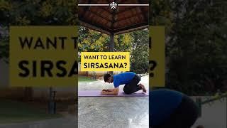 How To Do Sirsasana | How To Do Headstand | Headstand For Beginners | Cult Fit  #Shorts