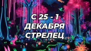 ️️СТРЕЛЕЦ. ️С 25 - 1 декабря 2024.️