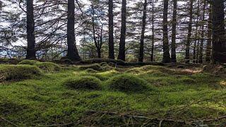 Walks on the Isle of Jura