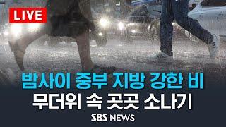 무더위 속 곳곳 소나기…밤사이 중부 지방 강한 비 뿌린다 - 이 시각 예보 상황 / SBS