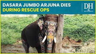 Dasara elephant Arjuna dies during rescue operation in Sakleshpur