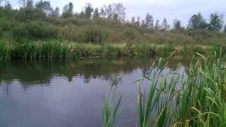 Žvejyba Vokėje. Рыбалка на Реке Vokė. Fishing in Voke river