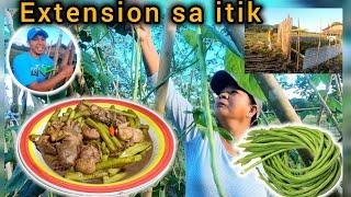 Ep.506- GUMAWA NG EXTENSION PARA SA ITIK | buhay probinsya | bukids