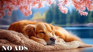 12 Hours Music to Help Dogs Sleep DeeplyAnti-anxiety music for dogsSleep instantly in 3 minutes