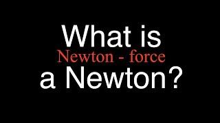 What is a Newton? An Explanation