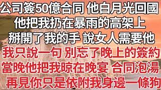 【完结】公司簽50億合同那天 他白月光回國，他把我扔在暴雨的高架上，掰開了我的手 說女人需要他，我只說一句 別忘了晚上的簽約，當晚他把我晾在晚宴 合同泡湯，再見你只是依附我身邊一條狗【爽文】【爱情】