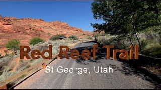 Red Reef Trail - St George Utah